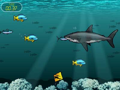 Shark Games - Free Online Shark Games on