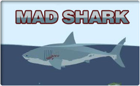 Play Mad Shark online from any device for free at Scorenga.com